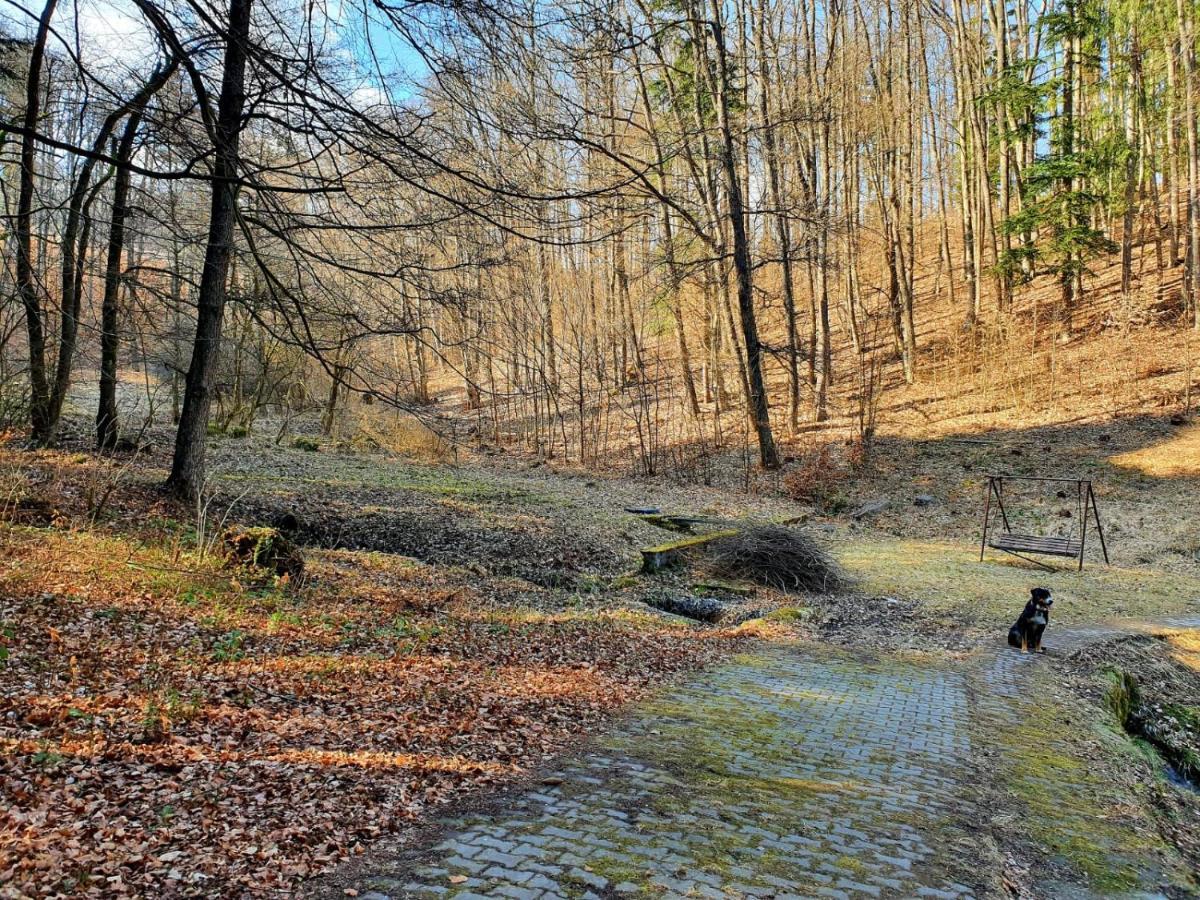 Horska Chata V Srdci Kremnickych Hor Banska Bystrica Exterior photo